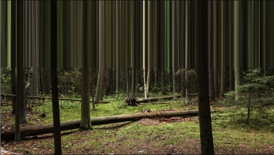 60. Rain Avarmaa "Ämblik"