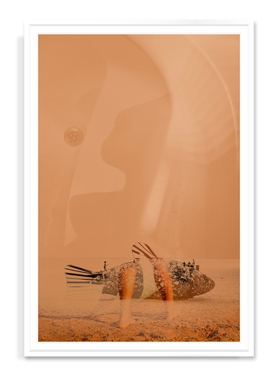 74. Talis Taim "Ocean after humans"